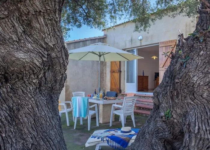 Daire Domaine Bollaccia - Casa Caruchettu *