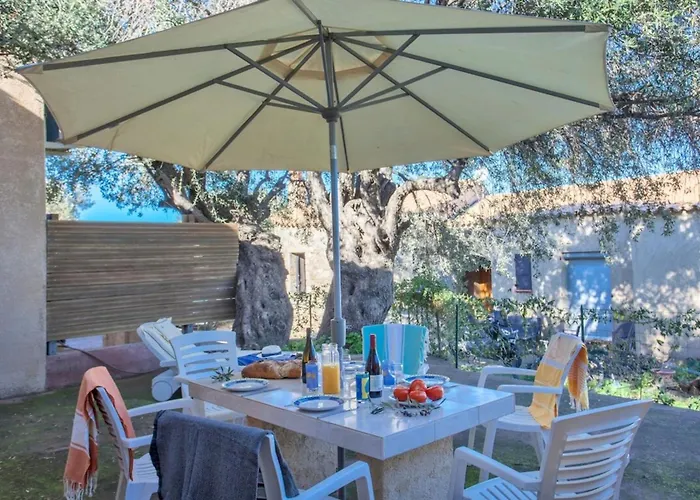 Domaine Bollaccia - Casa Caruchettu Daire Monticello