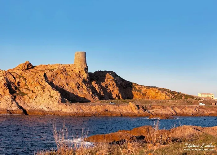 Domaine Bollaccia - Casa Caruchettu Daire Monticello