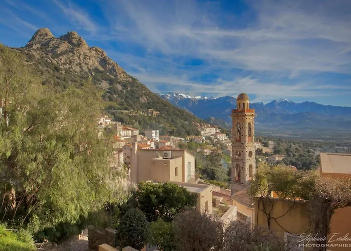 Domaine Bollaccia - Casa Caruchettu Daire